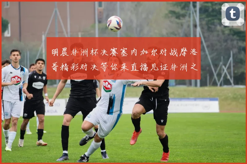 明晨非洲杯决赛塞内加尔对战摩洛哥精彩对决等你来直播见证非洲之王的诞生